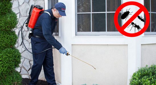 Mengen Böcek İlaçlama böcek ilaçlama ve haşere kontrolü — ilaclama-tr.com